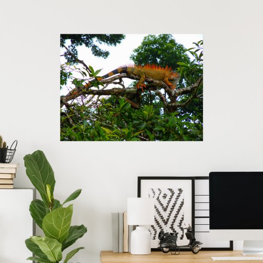 オレンジイグアナ ポスター (ホームオフィス)