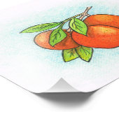 オレンジイラストレーションフォトプリント フォトプリント            (角)