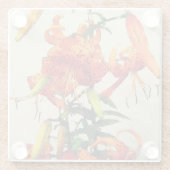 オレンジウォーターカラータイガーリリー1 ガラスコースター (裏面)