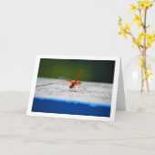 オレンジウグリ カード (黄色い花)