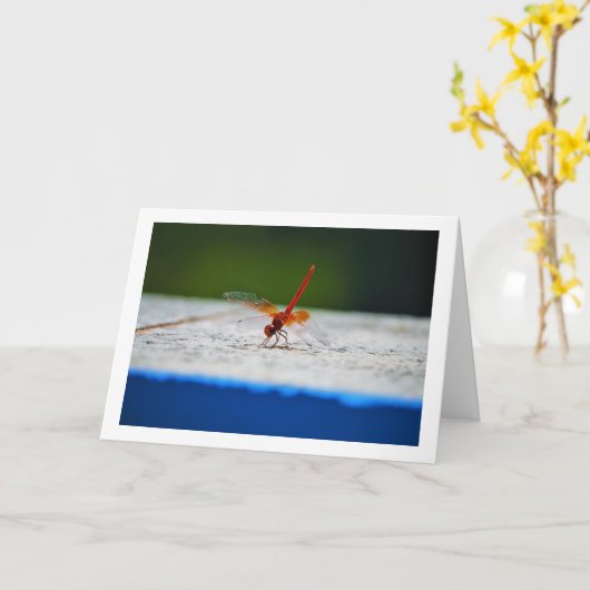 オレンジウグリ カード (黄色い花)