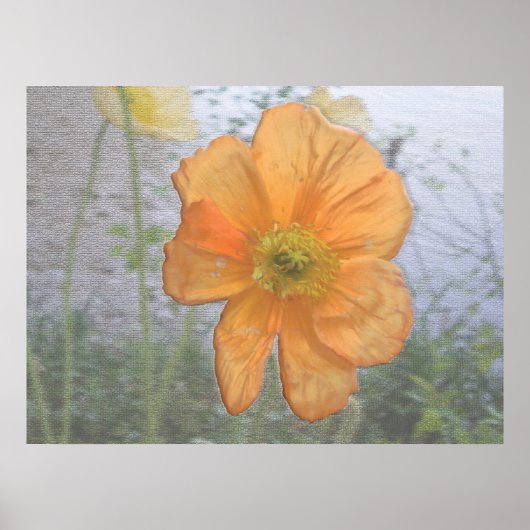 オレンジエッセンス ポスター (正面)