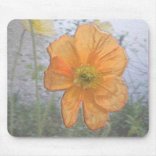 オレンジエッセンス マウスパッド (正面)