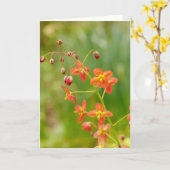 オレンジエピメディアムフラワーカード カード (黄色い花)