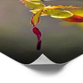 オレンジエレガント色イエローオーキッド植物花 ポスター (角)