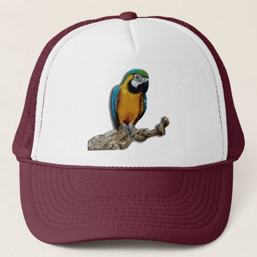 オレンジオウムの帽子だけ キャップ (正面)