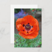 オレンジオリエンタルポピー&ラベンダーの花 ノートカード (正面/裏面)