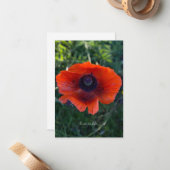 オレンジオリエ独身のントポピー ノートカード (正面/裏面インサイチュ)