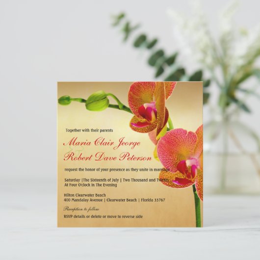 オレンジオーキッズトロピカルビーチ目的地の結婚式 招待状 (スタンド正面)