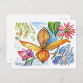 オレンジオーキッドスケッチ ポストカード (正面/裏面)