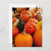 オレンジオータムカボチャ ポストカード (正面/裏面)