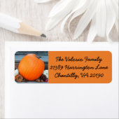 オレンジオータムカボチャ ラベル (インサイチュ)