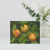 オレンジオーナメントクリスマスポストカード シーズンポストカード (スタンド正面)