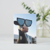 オレンジカウンティフェア ポストカード (スタンド正面)