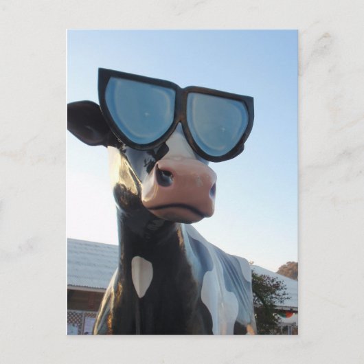 オレンジカウンティフェア ポストカード (正面)