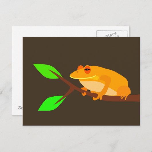オレンジカエル葉書 ポストカード (正面/裏面)