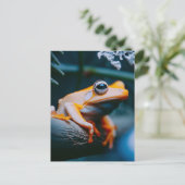 オレンジカエル ポストカード (スタンド正面)
