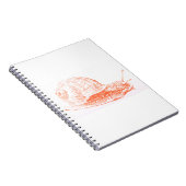 オレンジカタツムリスケッチ ノートブック (右側)