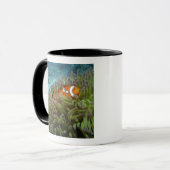 オレンジカッコウハゼ(Amphiprion ocellaris) マグカップ (正面左)