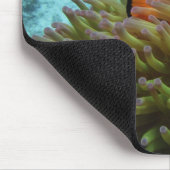 オレンジカッショクニモ（Amphiprion ocellaris） マウスパッド (コーナー)