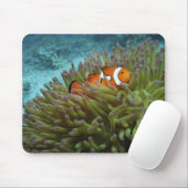 オレンジカッショクニモ（Amphiprion ocellaris） マウスパッド (マウス)