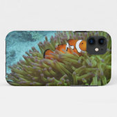 オレンジカッショクニモ(Amphiprion ocellaris) Case-Mate iPhoneケース (裏面(横))