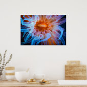 オレンジカップサンゴ ポスター (キッチン)