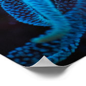 オレンジカップサンゴ ポスター (角)