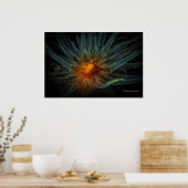 オレンジカップサンゴ ポスター (キッチン)