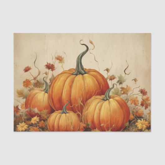 オレンジカボチャ素朴ン秋 薄葉紙 (正面)