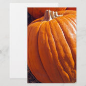 オレンジカボチャ 便箋 (正面/裏面)