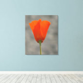 オレンジカリフォルニアフラワー キャンバスプリント (インサイチュ (ウッドフロア))