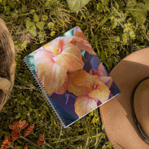 オレンジカンナリリーフローラ