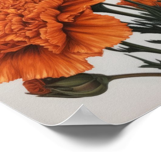 オレンジカーネーションフラワーアートプリントポスター ポスター (角)