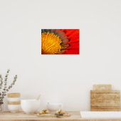 オレンジガサニアアフリカデイジーサマーフラワー ポスター (キッチン)