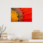 オレンジガサニアアフリカデイジーサマーフラワー ポスター (キッチン)