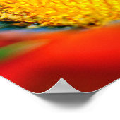 オレンジガサニアアフリカデイジーサマーフラワー ポスター (角)