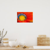 オレンジガサニアアフリカデイジーサマーフラワー ポスター (キッチン)