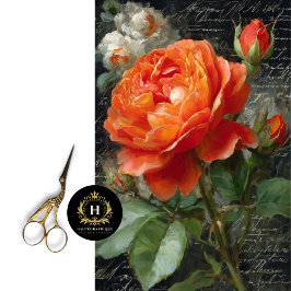 オレンジガーデンバラデクページ 薄葉紙