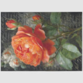 オレンジガーデンバラデクページ 薄葉紙 (正面)