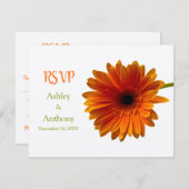 オレンジガーベラデイジー応答カード 出欠カード (正面/裏面)