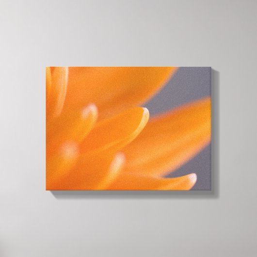 オレンジガーベラデイジー花びら キャンバスプリント (正面)
