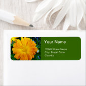 オレンジガーベラデイジー花住所 シール (インサイチュ)