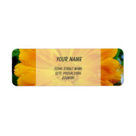 オレンジガーベラデイジー花住所 シール