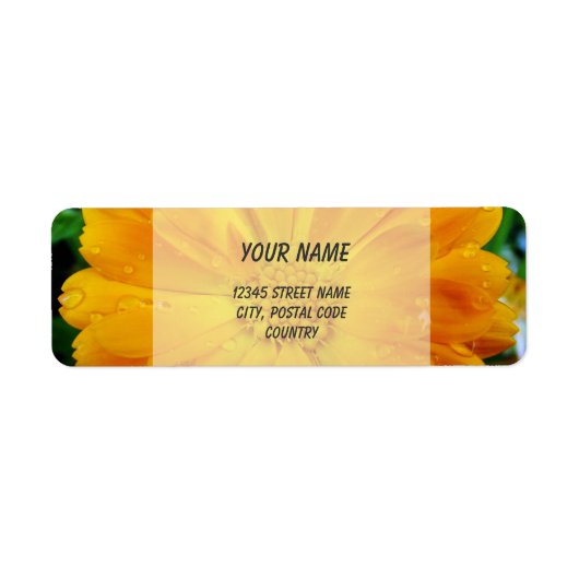 オレンジガーベラデイジー花住所 シール (正面)