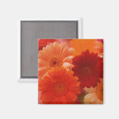 オレンジガーベラデイジー花冷蔵庫磁石 マグネット (正面/裏面)