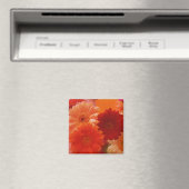 オレンジガーベラデイジー花冷蔵庫磁石 マグネット (インサイチュ (食洗機))