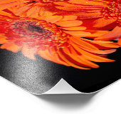 オレンジガーベラデイジー フォトプリント            (角)