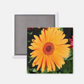 オレンジガーベラー磁石 マグネット (正面/裏面)