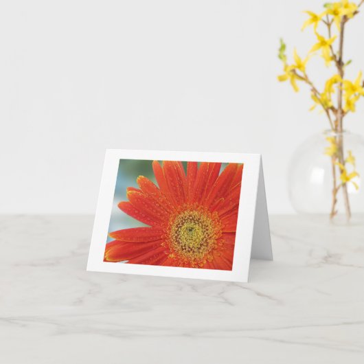 オレンジガーベラ カード (黄色い花)